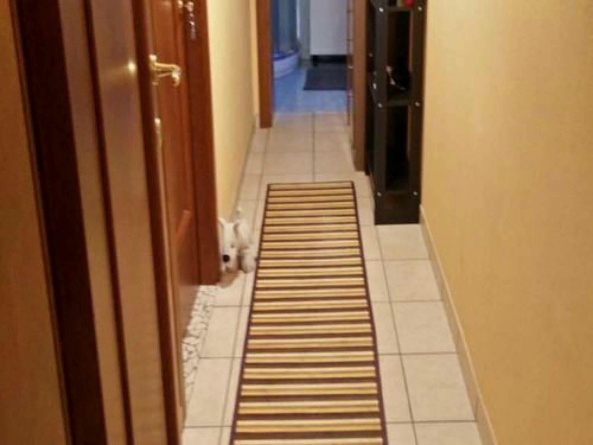 Stazione Centrale Bed and Breakfast Μπολόνια Εξωτερικό φωτογραφία